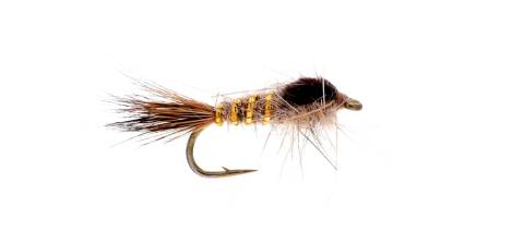 Hare's Ear 6 Pack CLOSEOUT